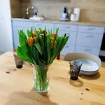 Apartment Living Lu - Cosy Three - Naehe Mannheim - Basf - Netflix - 3 *