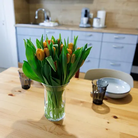 Apartamento Living Lu - Cosy Three - Naehe Mannheim - Basf - Netflix - 3 *