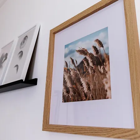 Living Lu - Cosy Three - Naehe Mannheim - Basf - Netflix - 3 Apartamento Ludwigshafen am Rhein